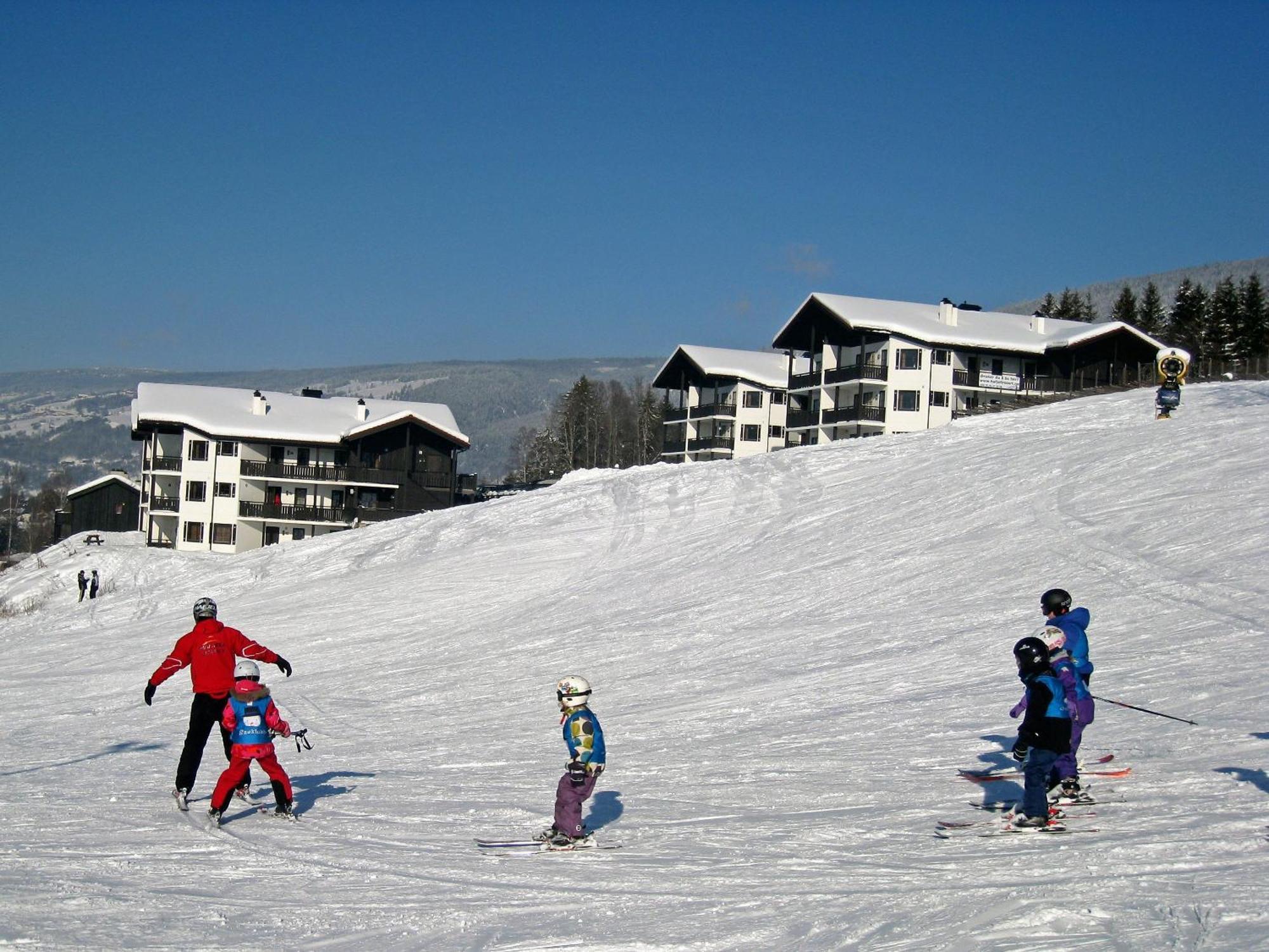 האפג'ל Alpin Apartments Solsiden מראה חיצוני תמונה