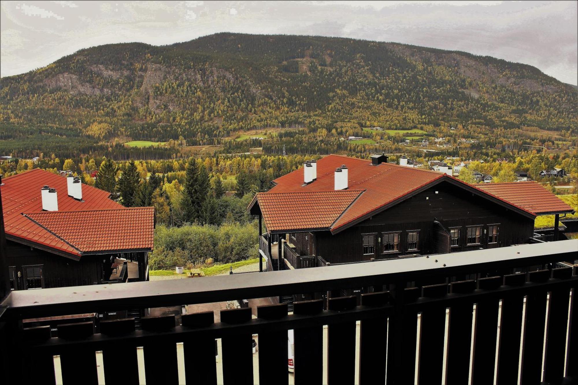 האפג'ל Alpin Apartments Solsiden מראה חיצוני תמונה