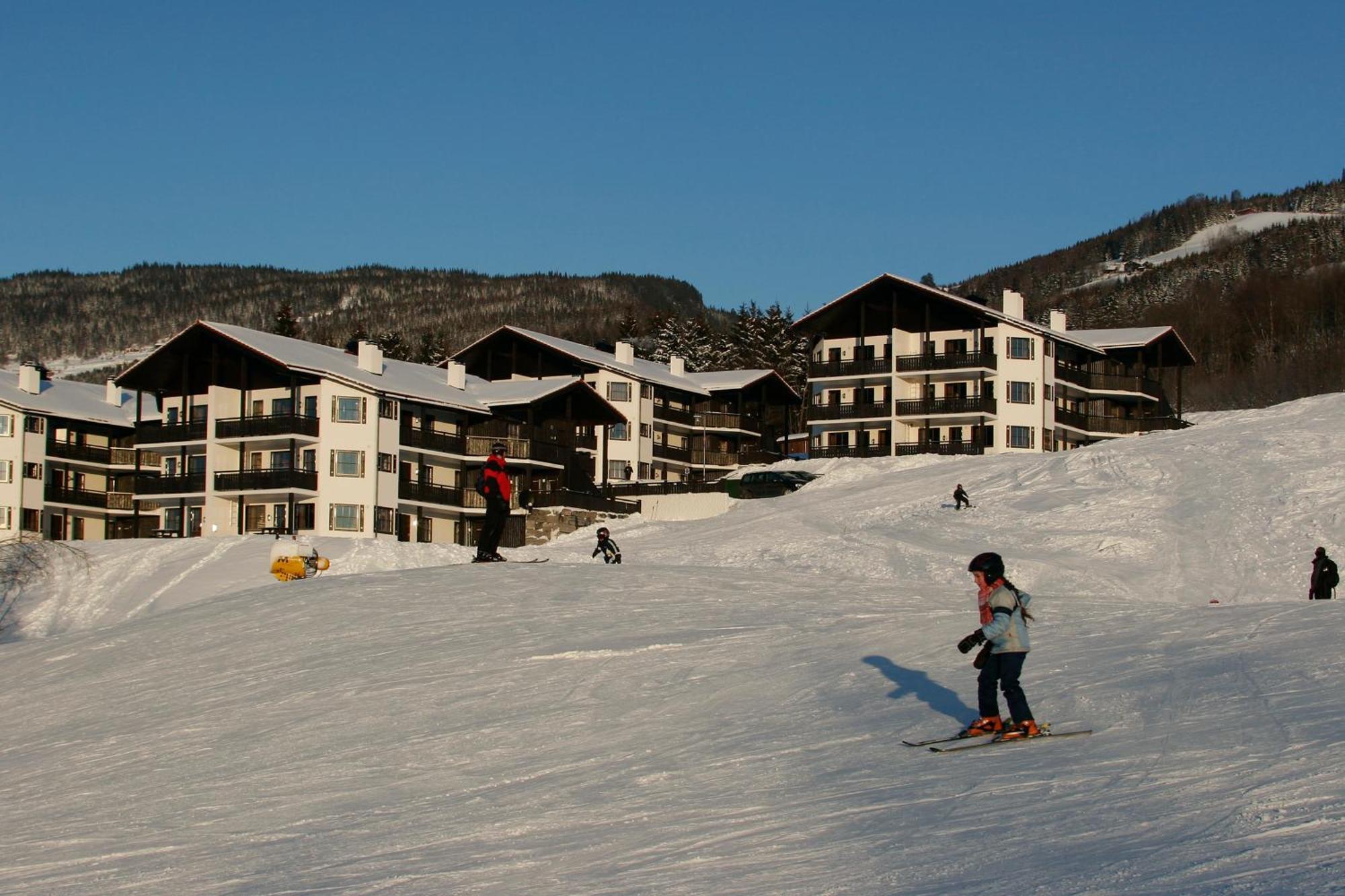 האפג'ל Alpin Apartments Solsiden מראה חיצוני תמונה