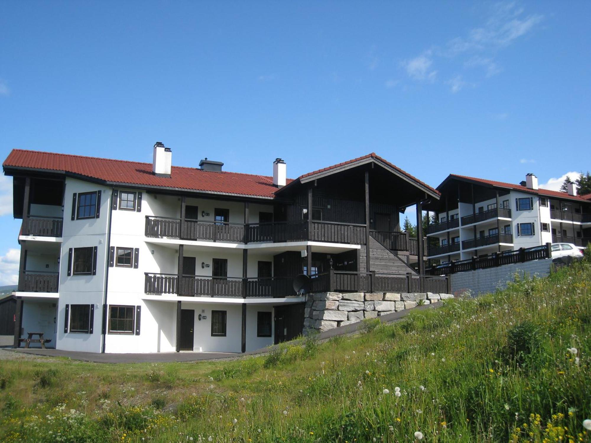 האפג'ל Alpin Apartments Solsiden מראה חיצוני תמונה